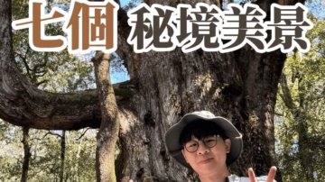 1000步的缤纷台湾