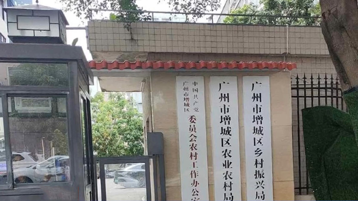 【禁闻】广州农业局人员 揭露中共基层腐败