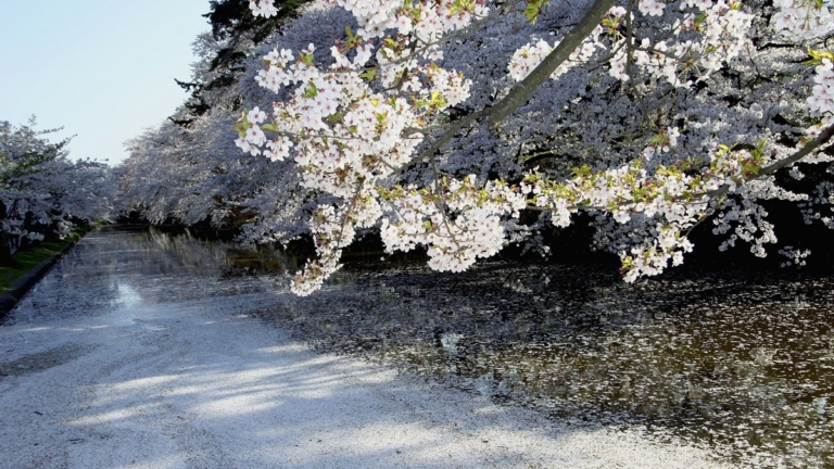 地震前兆？日本青森多地驚傳「神祕地鳴」（視頻）