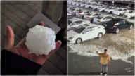 西安大風暴雨冰雹 車商300多輛車全部被砸損大哭（視頻）