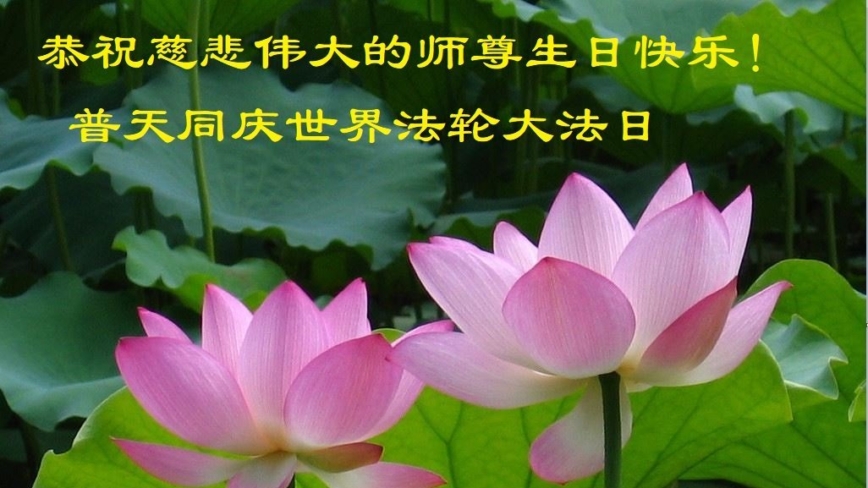 山东法轮功学员庆祝世界法轮大法日(27条)