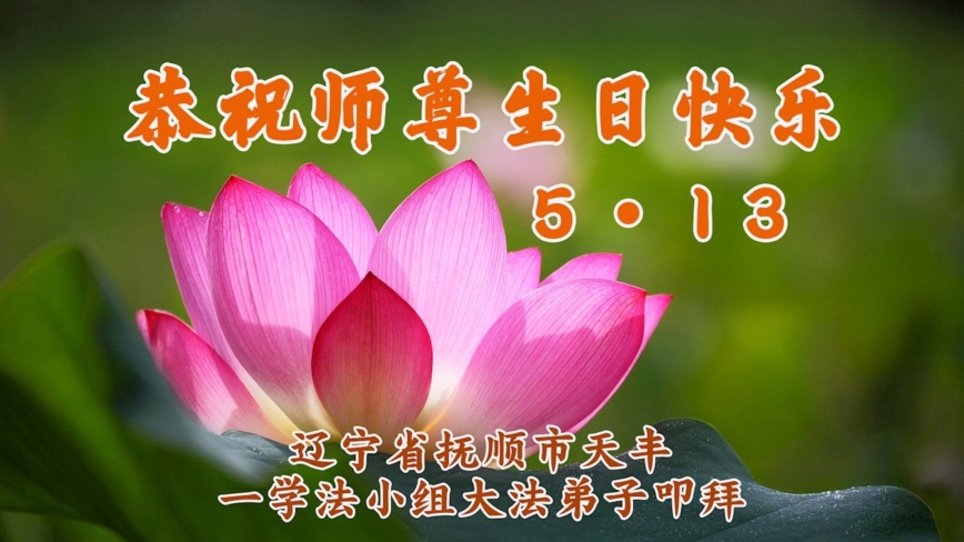 辽宁法轮功学员庆祝世界法轮大法日(20条)