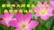 北京法輪功學員慶祝世界法輪大法日(18條)