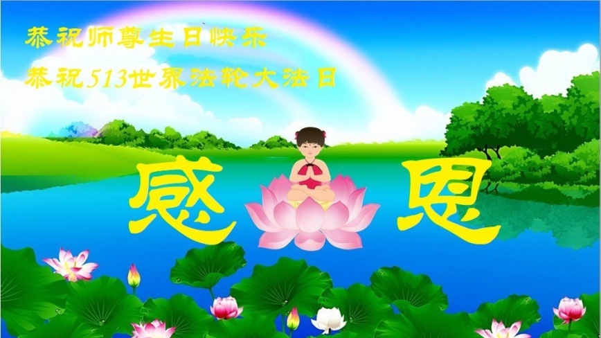 大法小弟子庆祝世界法轮大法日(20条)