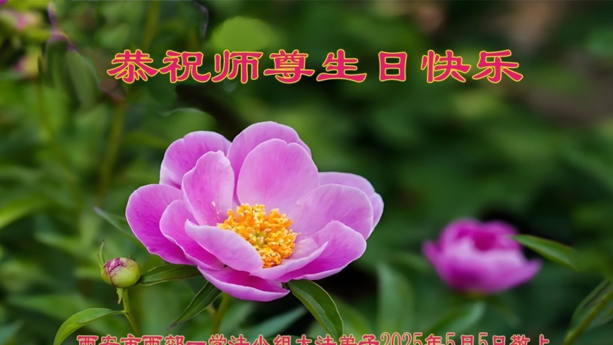 西安法轮功学员庆祝世界法轮大法日(18条)