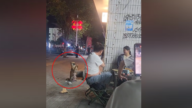 狗狗討吃東西後 雙腿作揖道謝視頻熱傳