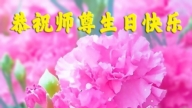 福建法輪功學員慶祝世界法輪大法日(19條)