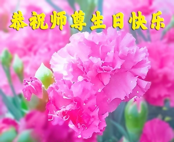 福建法轮功学员庆祝世界法轮大法日(19条)