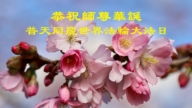 意大利、西班牙、土耳其法輪功學員慶祝世界法輪大法日