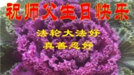 北京法輪功學員慶祝世界法輪大法日(21條)