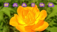 澳大利亞、新西蘭法輪功學員慶祝世界法輪大法日