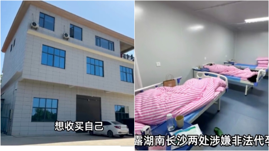 博主举报地下代孕窝点 长沙卫健委称“不管”挨批