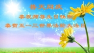 河北法輪功學員慶祝世界法輪大法日(22條)
