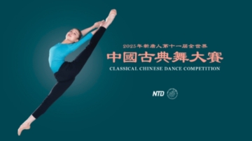 全世界华人系列大赛