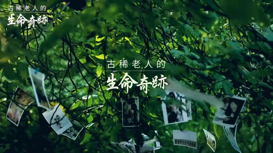 【禁聞】「古稀老人的生命奇跡」完整版
