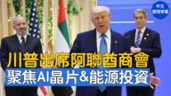 【重播】川普出席美國-阿聯酋商務理事會議