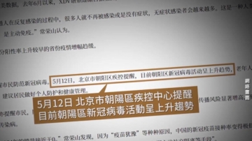 大陆疫情