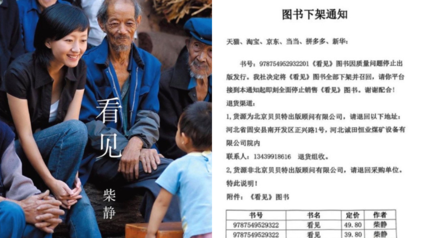 柴静《看见》被下架 陈丹青：这是文革前奏