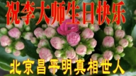 北京法轮功学员庆祝世界法轮大法日(22条)