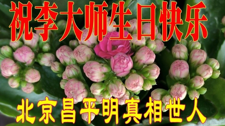 北京法轮功学员庆祝世界法轮大法日(22条)