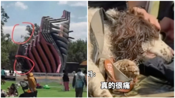北京寵物賽 3噸重氣膜滑梯被風吹翻 人傷狗亡（視頻）