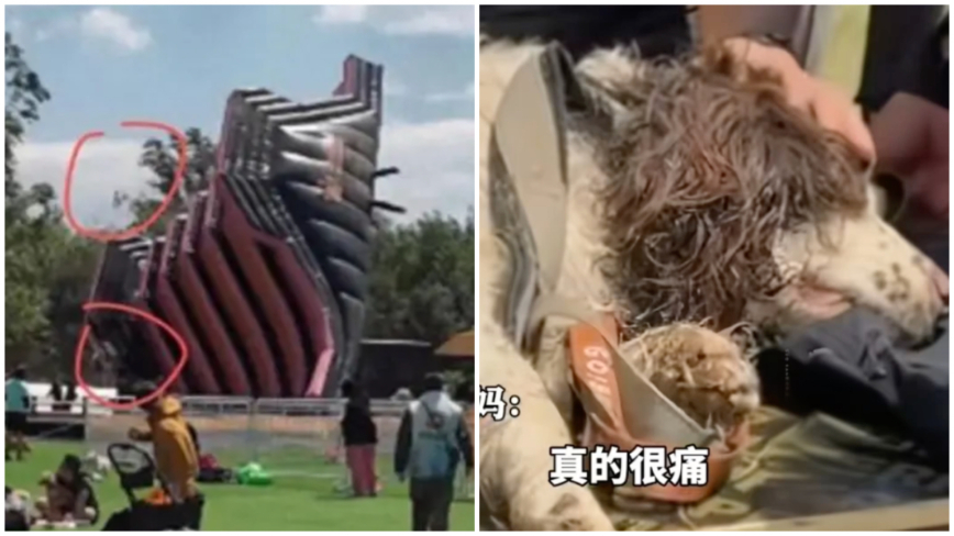 北京宠物赛 3吨重气膜滑梯被风吹翻 人伤狗亡（视频）