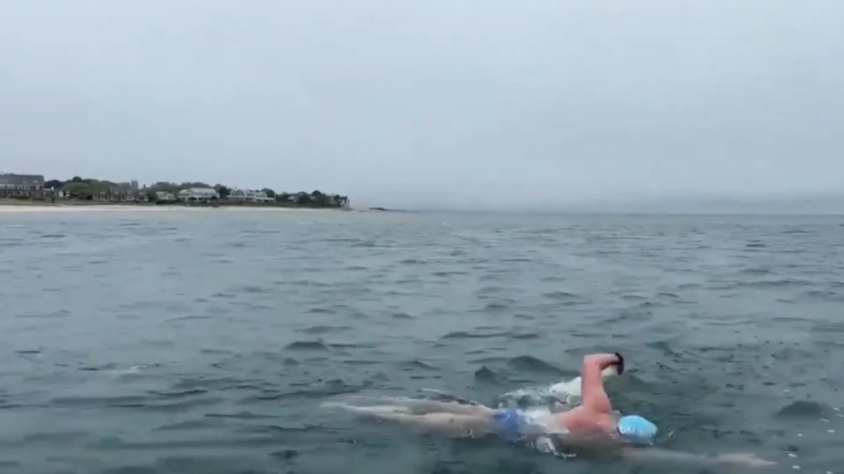 《大白鯊》上映50周年 泳將挑戰鯊魚水域環島游