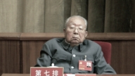 林辉：华国锋被夺权 叶剑英之语透一真相