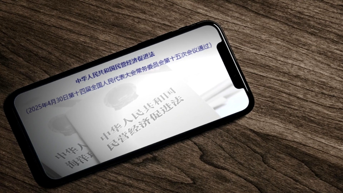 【禁闻】力推民营经济促进法 中共使障眼法?