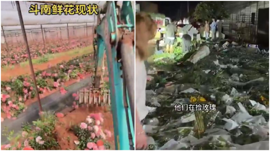 大陆消费降级 “520”鲜花卖不掉 价格崩盘（视频）