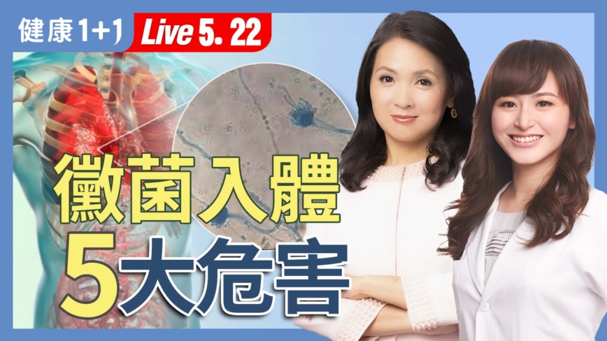 【健康1+1】黴菌無所不在 過敏失眠是它害的