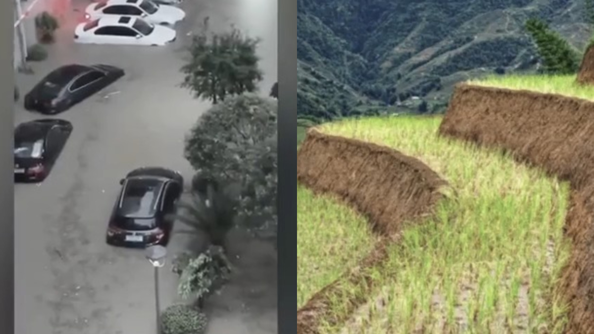 【禁闻】贵州遵义暴雨酿洪灾 疑「水稻上山」惹祸