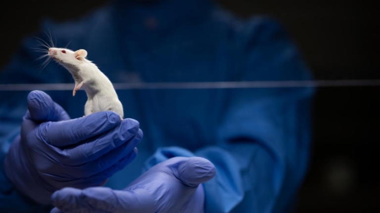 研究發現：生物體會發出不可見光