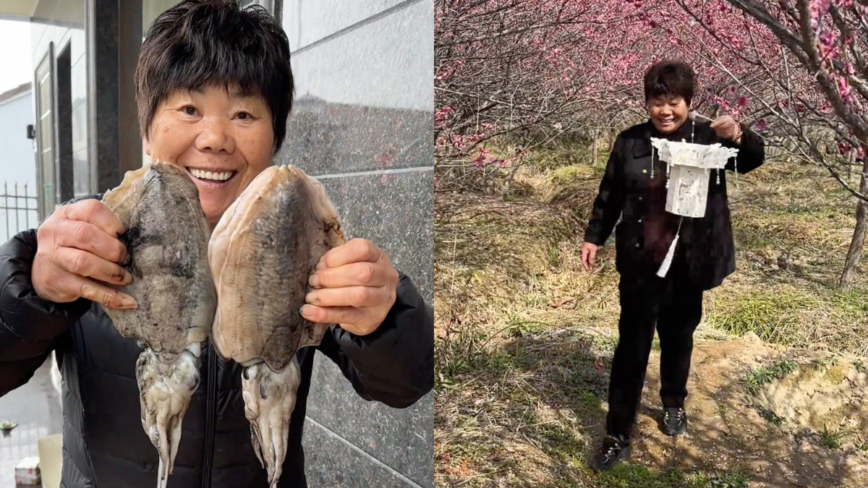 吃墨鱼吃出一盏宫灯！浙江阿姨手艺惊人（视频）