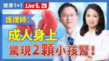 【健康1+1】活摘揭密 器官移植的恐怖产业链