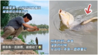 郑州小伙钓到大鱼 另一条鱼生死相随 感动网友（视频）
