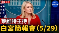 【直播】萊維特主持白宮簡報會（5/29）