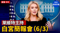 【直播】萊維特主持白宮簡報會（6/3）