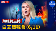 【直播】萊維特主持白宮簡報會（6/11）