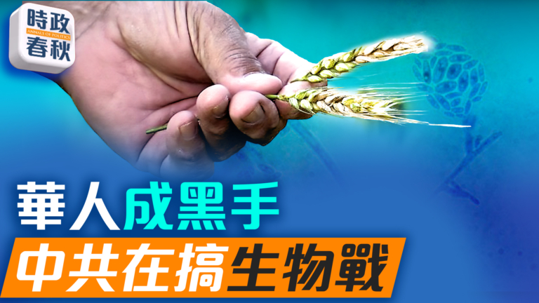 【時政春秋】華人成黑手 中共在搞生物戰