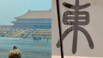 北京故宫漏雨 珍贵文物被淋湿（视频）