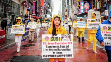 G7前夕 百万连署反活摘 专家促启动全面调查
