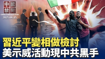 【中国禁闻】6月15日完整版