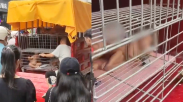 海南3名赤裸幼童被关铁笼里 引发关注（视频）