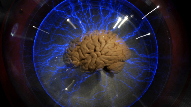 沒有大腦還能有意識？眞實案例挑戰科學認知