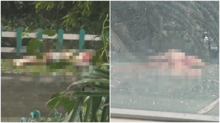 成都驚傳殺人分屍 人體碎塊拋落樓下（視頻）