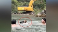 7个月大狗狗主动跳河救溺水男 上岸后得意微笑（视频）