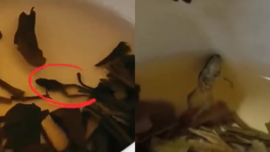 恐怖！中国知名茶饮被曝喝出整只青蛙