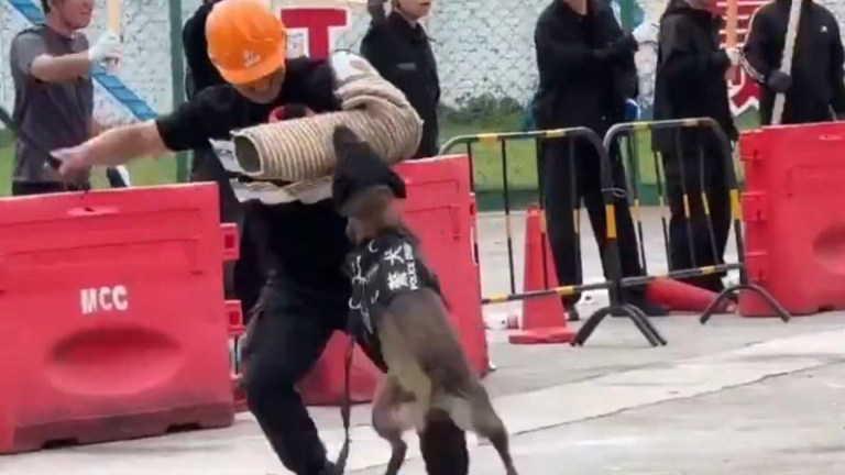 中共特警演練鎮壓討薪民工 放狗咬人視頻挨轟