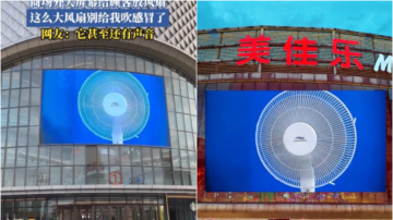 多地商场大屏幕播放电风扇画面 被讽“望扇止暑”
